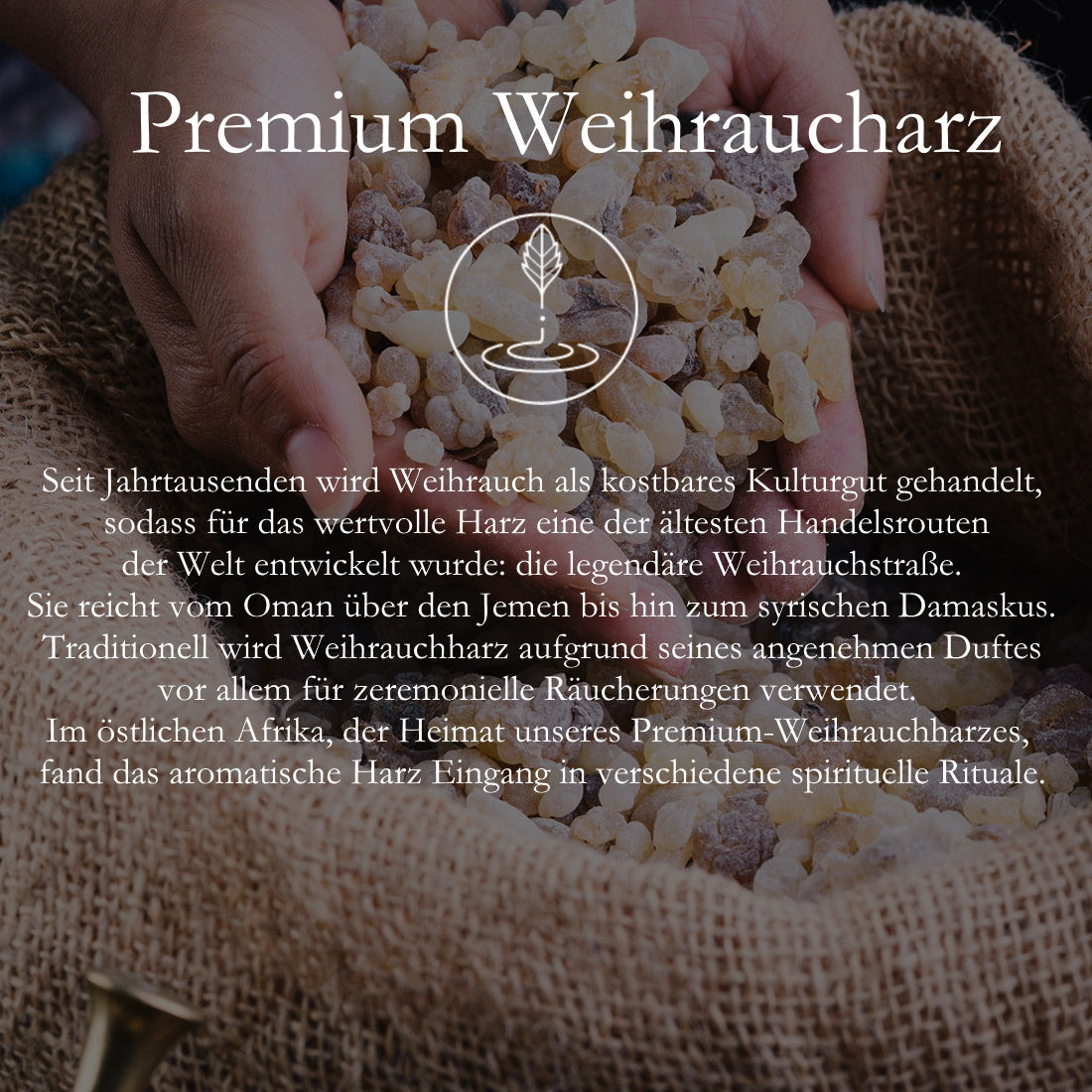 Oman Weihrauchharz  Boswellia Sacra (Najdi)