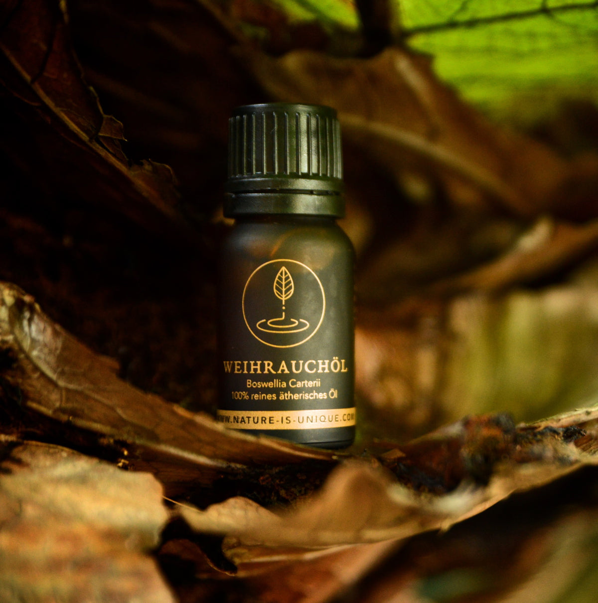 BEEYO WEIHRAUCHÖL BOSWELLIA CARTERII