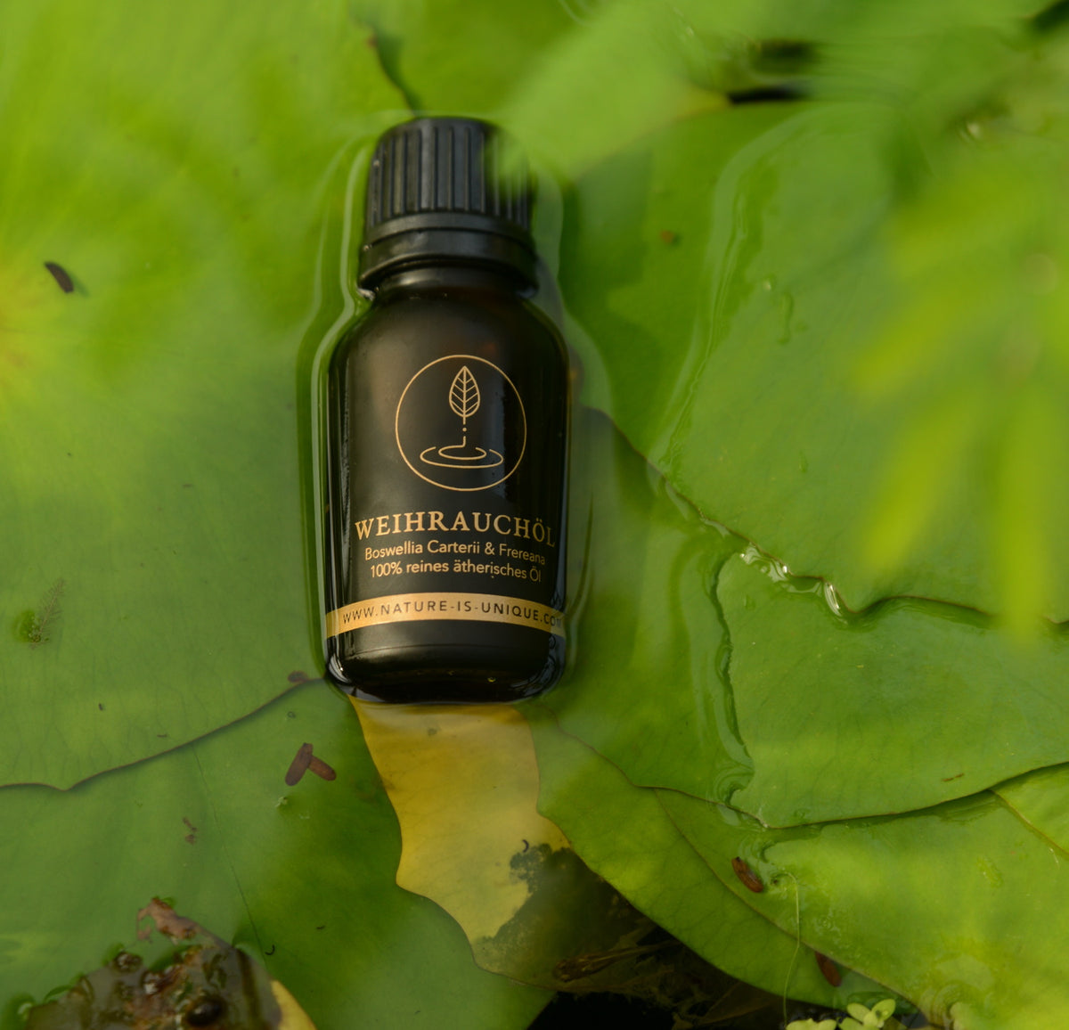 MAJERTEEN WEIHRAUCHÖL BOSWELLIA FREREANA, CARTERII