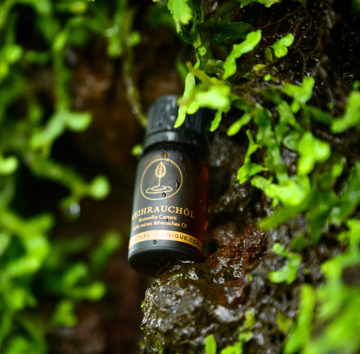 NiU Diffusor mit BEEYO Weihrauchöl