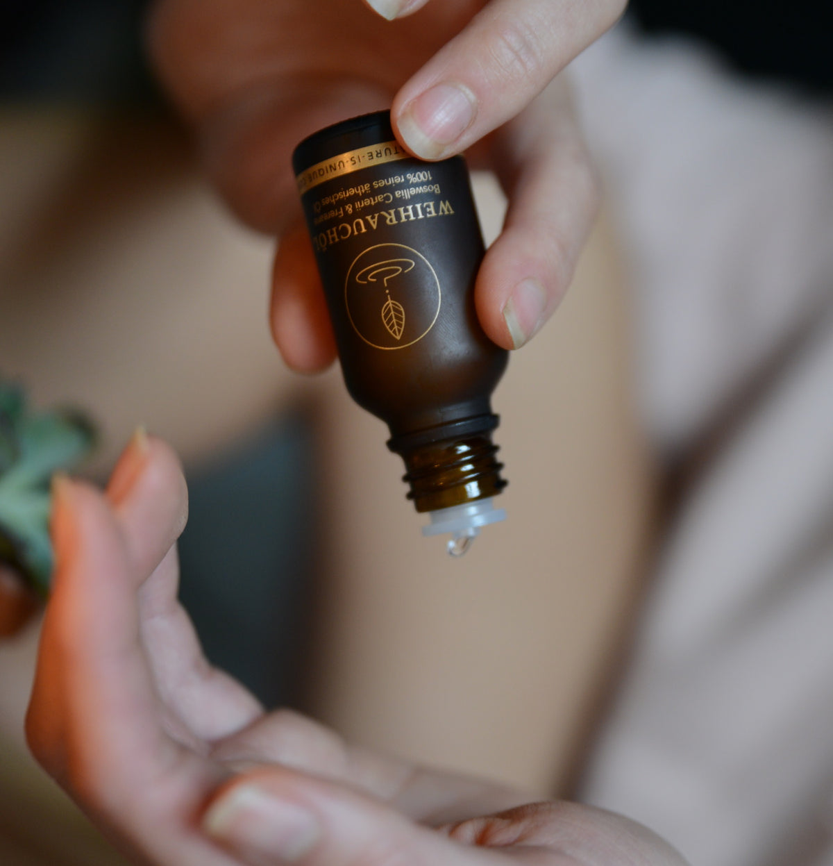 TRIBUS WEIHRAUCHÖL BOSWELLIA FREREANA, CARTERII, DALZIELII