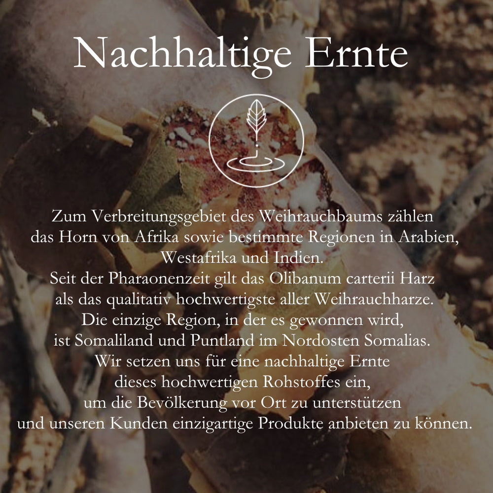 Oman Weihrauchharz  Boswellia Sacra (Najdi)