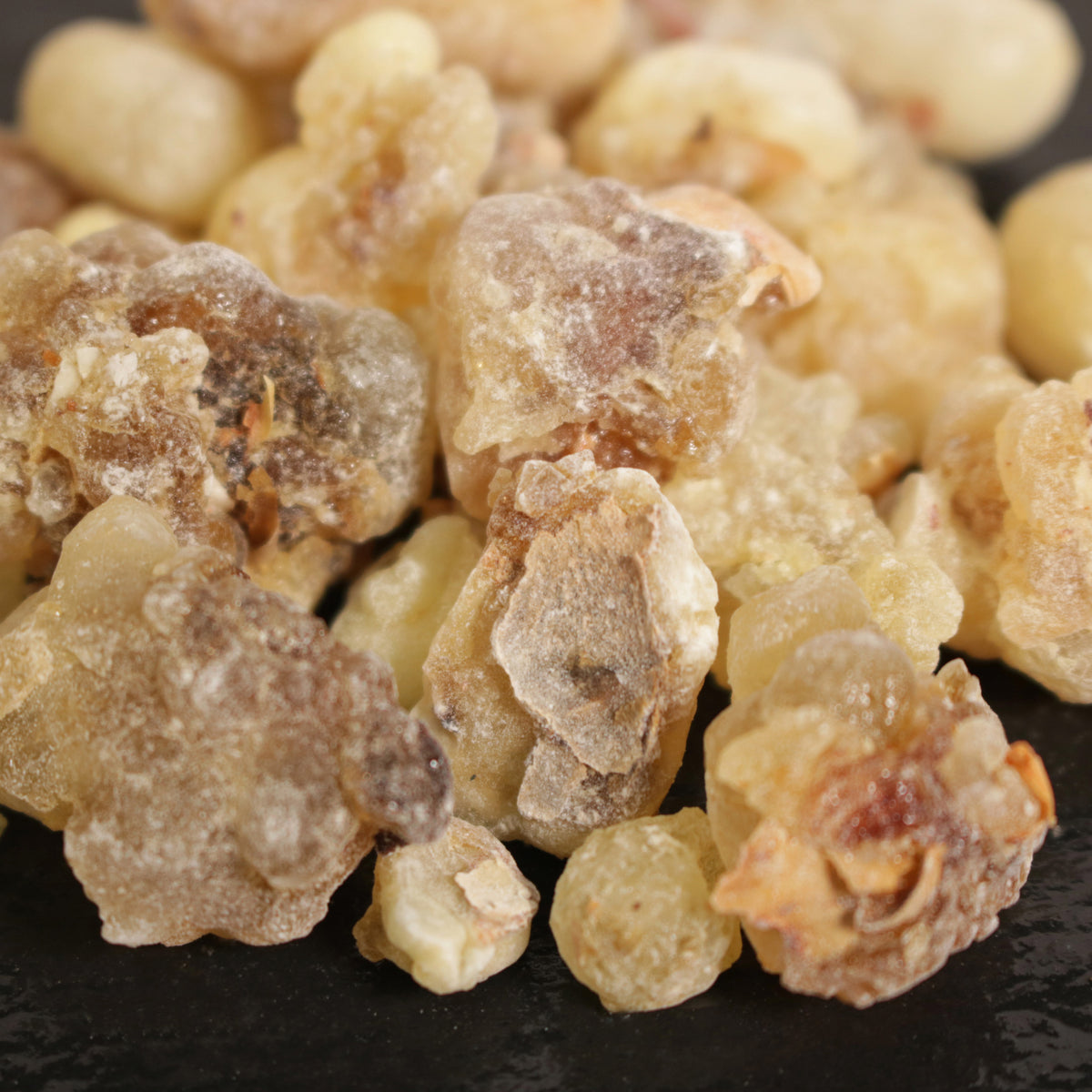 Nigeria Weihrauchharz Boswellia Dalzielii (Harrabi)