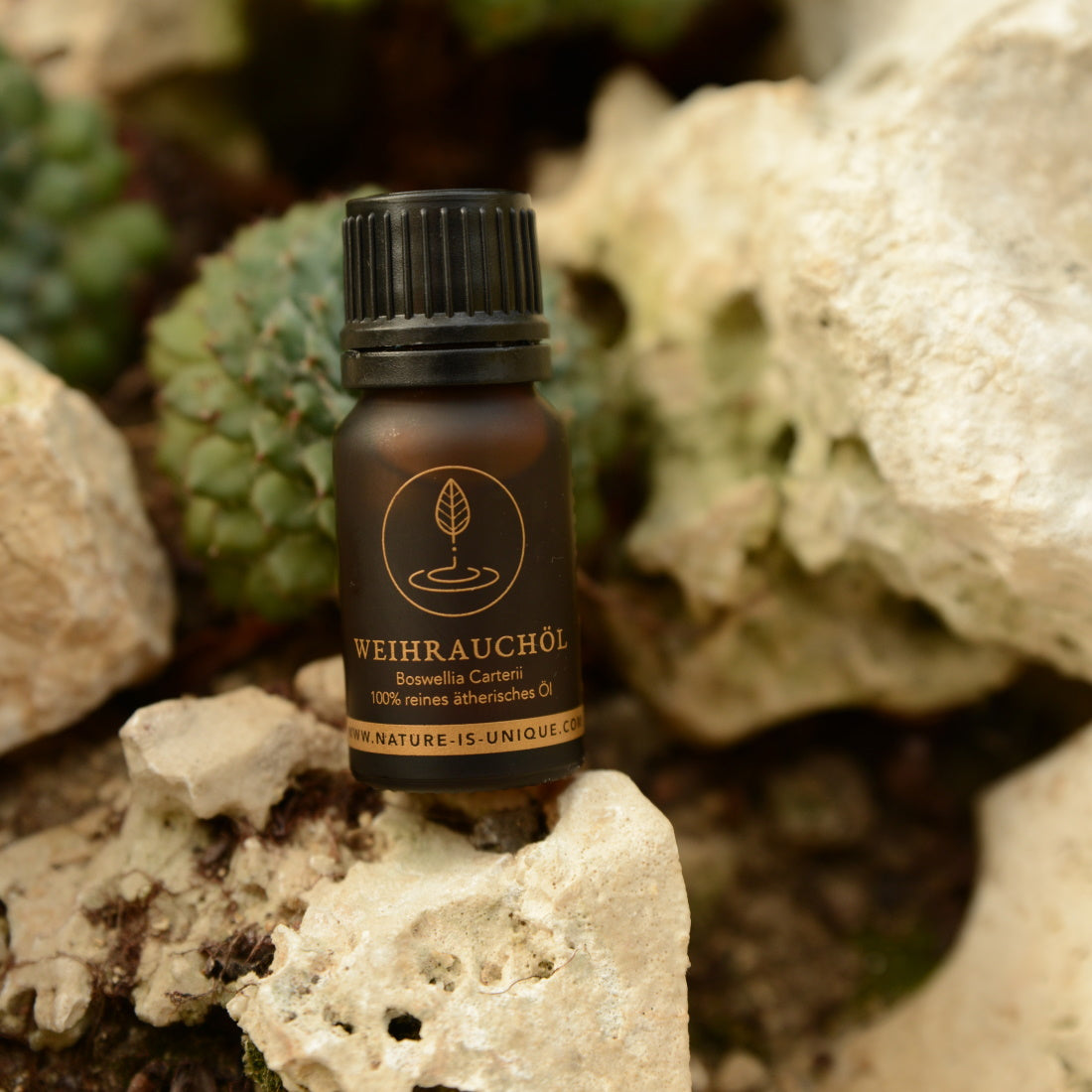 HARRABI WEIHRAUCHÖL BOSWELLIA DALZIELII