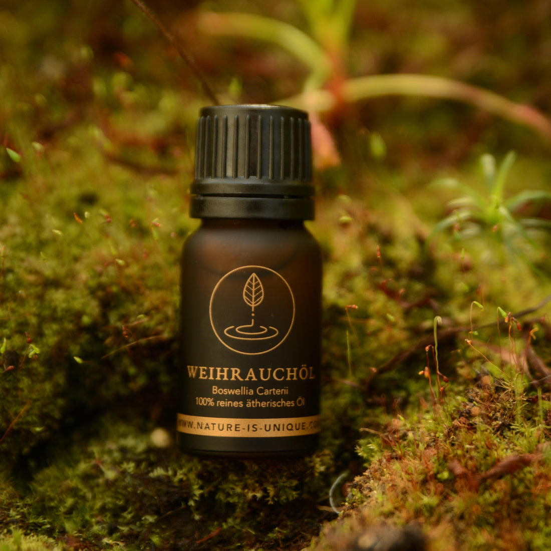 TRIBUS WEIHRAUCHÖL BOSWELLIA FREREANA, CARTERII, DALZIELII